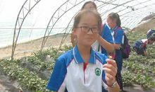 远足田野，感悟春天