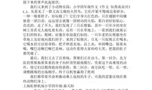 那次玩得真开心作文三年级