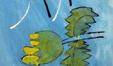 蒲公英宝宝漂流记