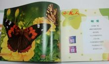 融入自然——读《昆虫记》有感