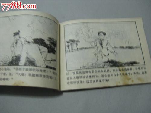 月光下的战斗