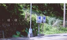 漫游慢吞吞王国