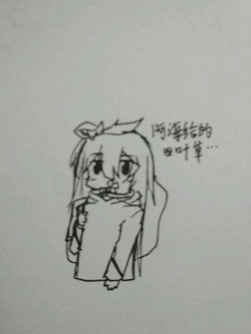 鸟的旅程
