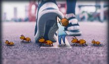 我看妈妈妈烧菜