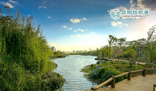 你是美丽的风景