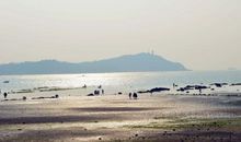 记忆中的那片海