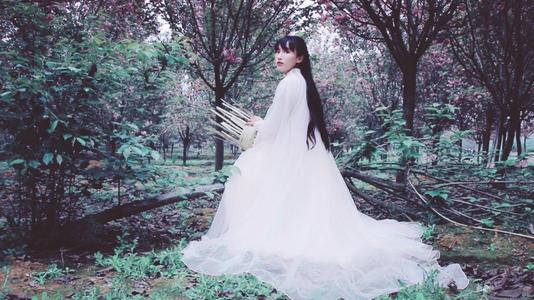 人生因梦想而美丽