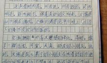 小猫钓鱼新法作文200字