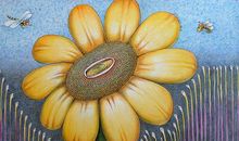 墙缝中的太阳花