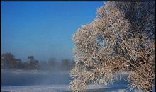 家乡冬天的风景