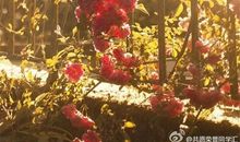 上天会眷顾每个努力的人