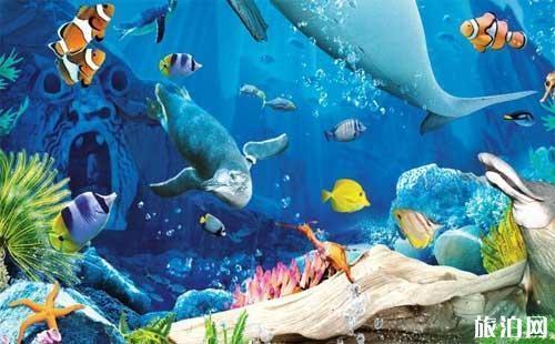 水族馆