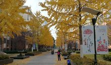 又是一年秋好时