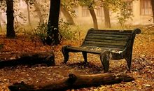 为什么我会想起你