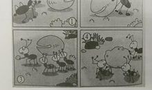 团结力量大看图写话