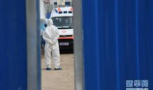 关于武汉疫情作文