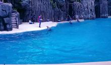 一波三折的求学之旅