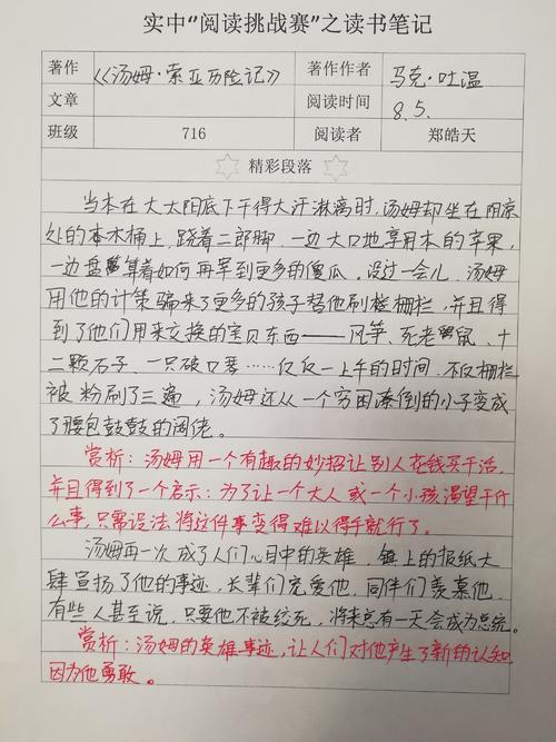 关于阅读《汤姆·索亚历险记》的思考