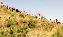 人生因劳动而绽放光彩