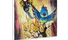 都是贪玩惹的祸