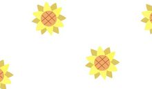 向日葵进入了我的视线