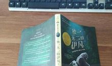 独一无二的伊凡读后感