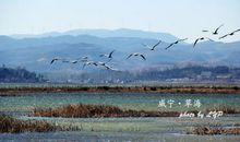 留住心中最美的风景