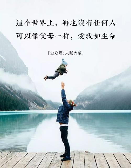爱上这个世界