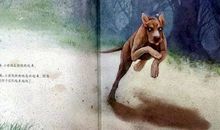 罗圈腿的小猎狗读后感