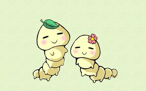 蚕的灵感