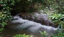 小雨留下的味道