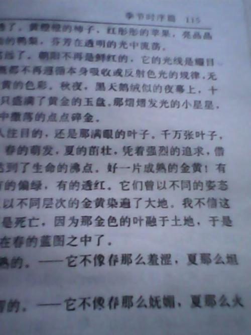 秋姑娘构图300字