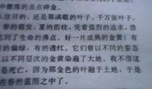 秋姑娘作文300字