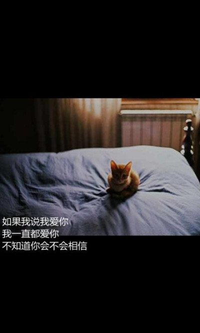 面谈