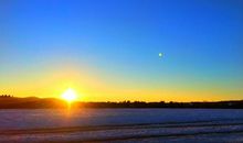 一颗向往自由的心