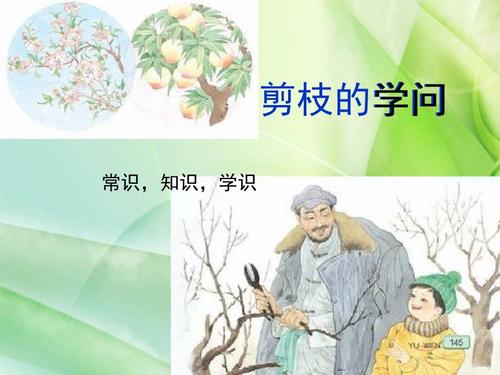 购物学习