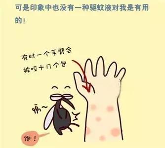 讨厌的蚊子