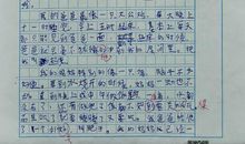 小小动物园作文写家里人