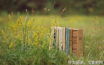 看完天龙八本书