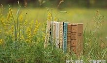 天龙八部读后感