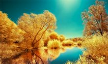 不妨换个角度看世界