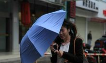 像海燕，风雨中前行