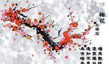 寒冬中的梅花