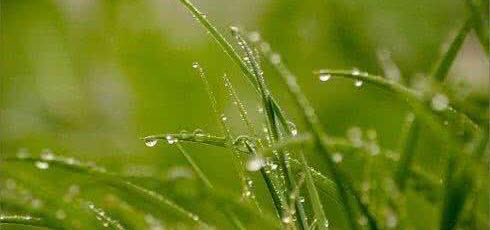 好雨知道季节