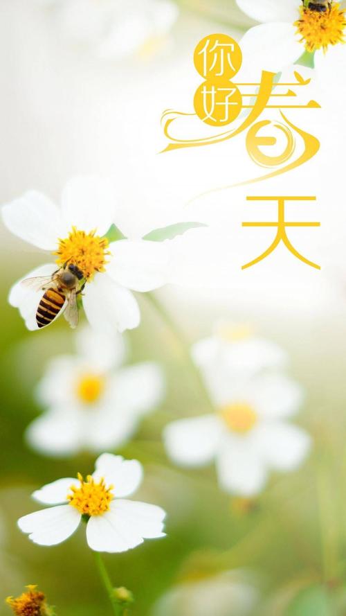 青春刚到春天