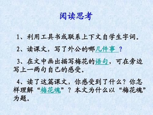 看完梅花的灵魂