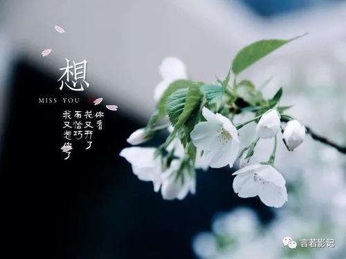 奶奶小姐