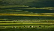 呼伦贝尔大草原