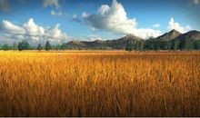 故乡——我的诗与远方