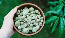 埋下自律的种子